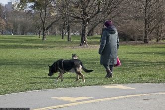 Ile kosztuje zakup i posiadanie psa lub kota? Poświęcamy na to jedną wypłatę