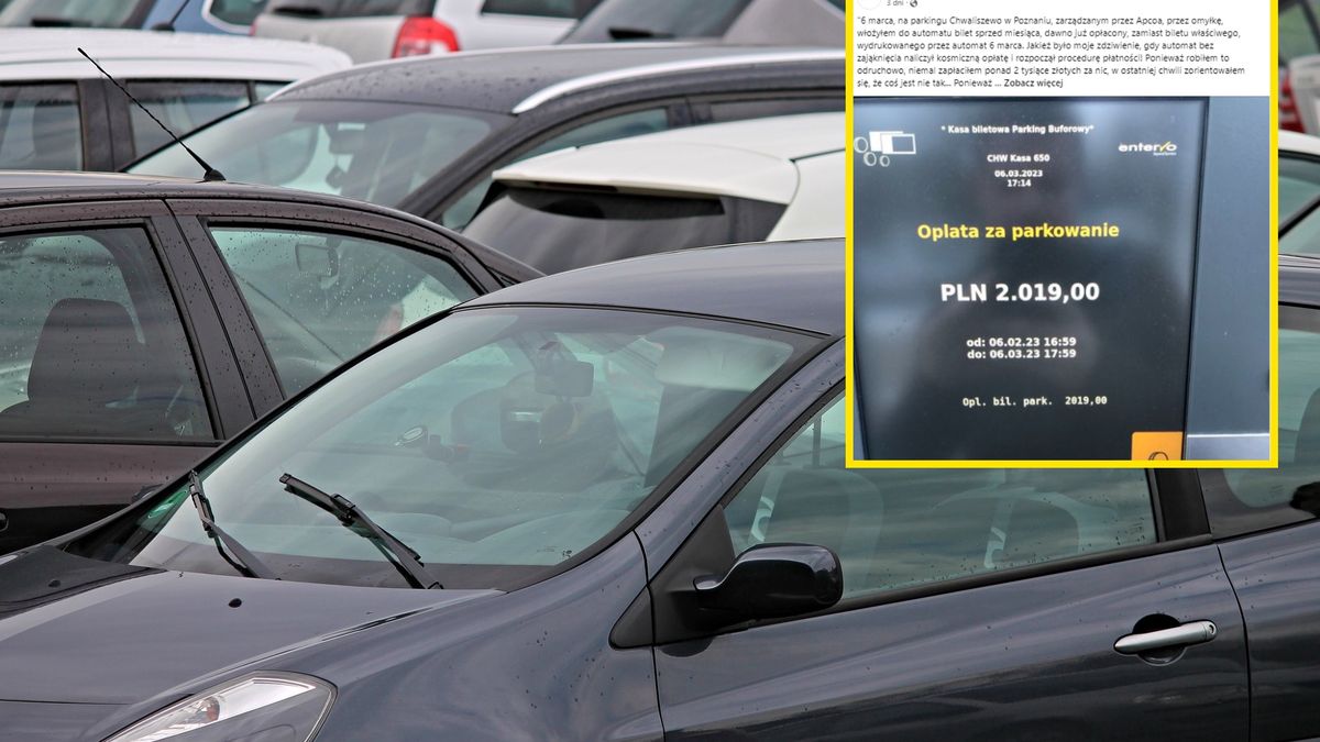 Mężczyzna nie mógł uwierzyć w kwotę, która wyświetliła się na ekranie parkometru 