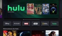 Katalog Hulu już widoczny w polskiej wersji Disney+