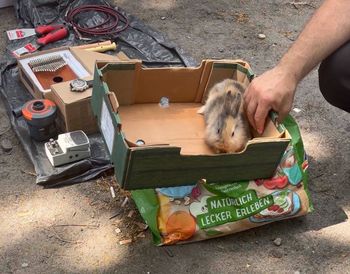 Pokazali zdjęcie z bazarku. "Nielegalna sprzedaż nadal kwitnie"