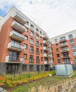 Haczyk w rządowym programie. "Trzeba będzie spieszyć się z wnioskiem"