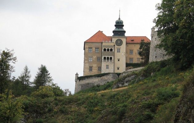 Obraz