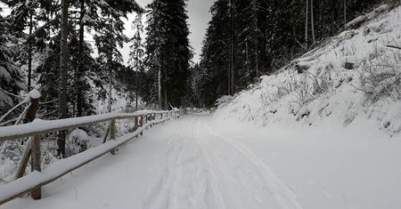 Apel do narciarzy i skiturowców