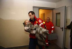 Podtrucie tlenkiem węgla