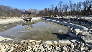 Siary: Park w remoncie. Do odnowienia pomost, brzeg stawu i roślinność