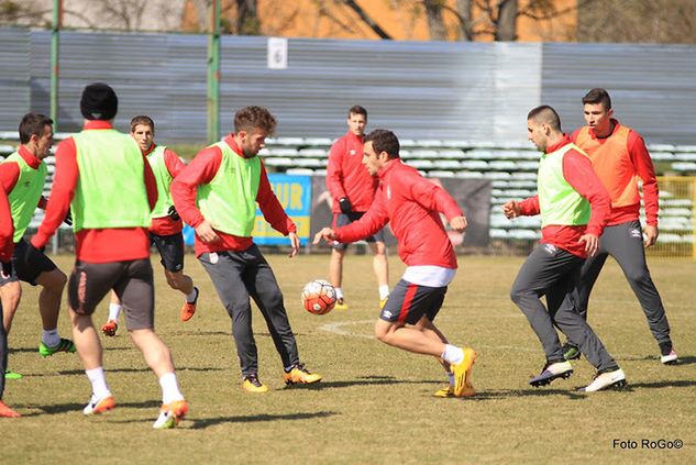 Trening reprezentacji Serbii na stadionie Warty Poznań / fot. Roger Gorączniak