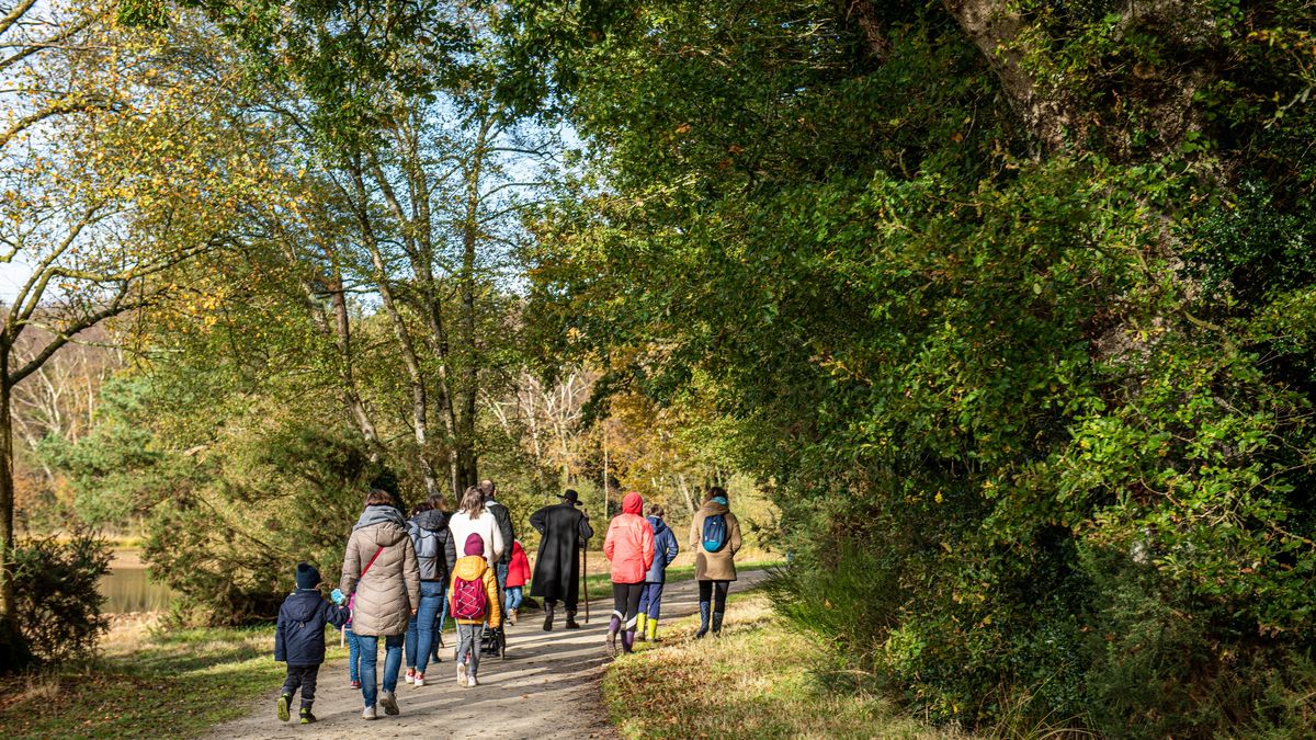 rodzina, spacer, jesień
