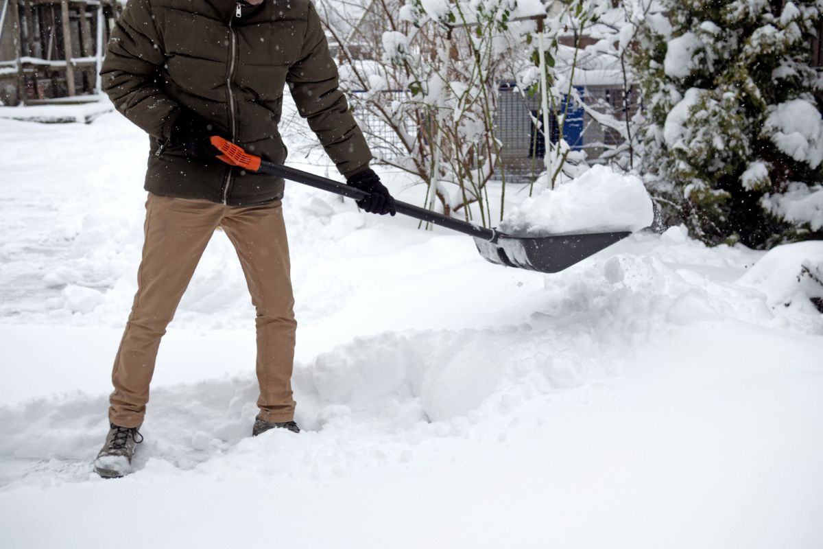 Snow removal in the garden