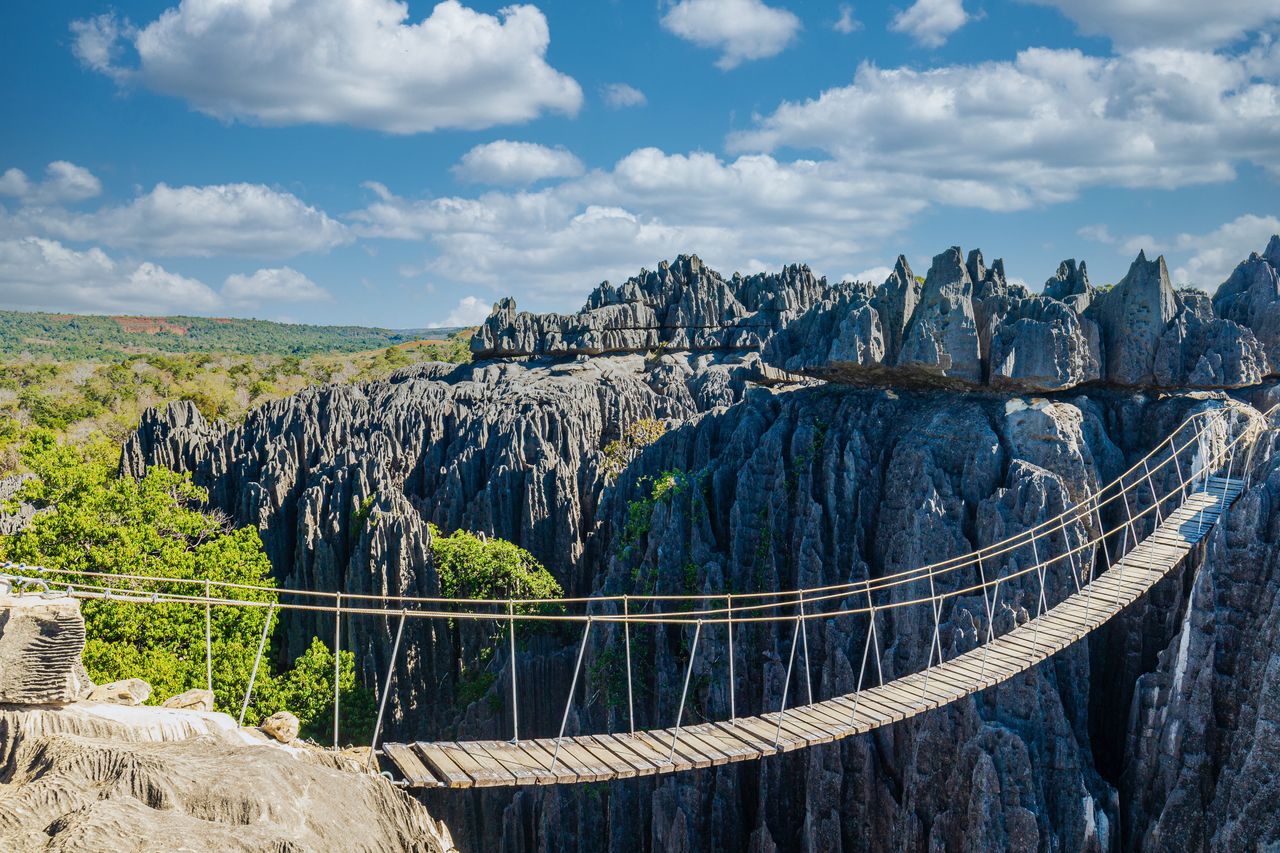 Przyroda na Madagaskarze zadziwia