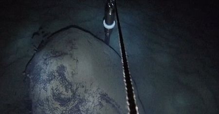 Niezwykłe odkrycie pod lodem Antarktydy. Nie sądzili, że to możliwe