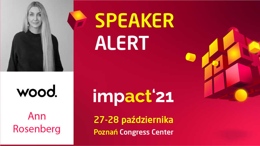 Ann Rosenberg ma na swoim koncie kilka nieprzeciętnych dokonań. Zainicjowała chociażby inicjatywę SDG Ambition podczas Światowego Forum Ekonomicznego w Davos. 