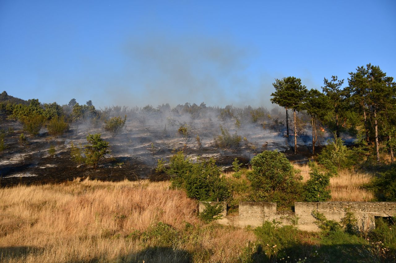 Serbia walczy z pożarami. 181 ognisk w ciągu doby