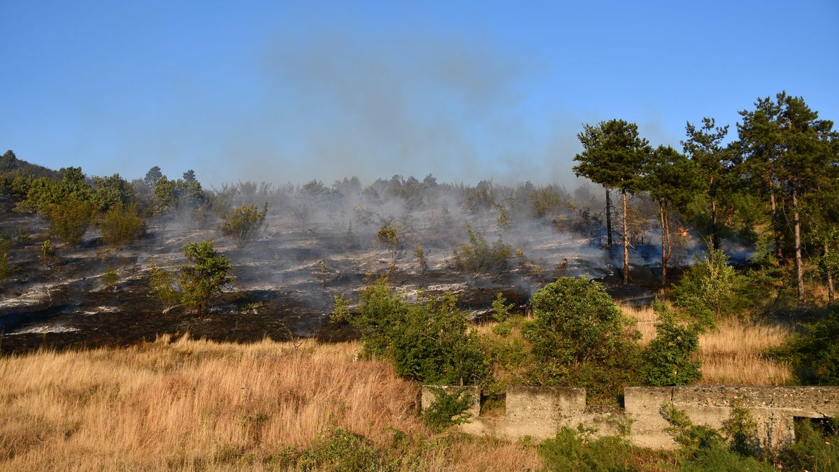 Bałkany walczą z pożarami