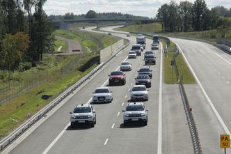 Żółw błotny stanął na drodze do budowy S16. Jest nowy wariant