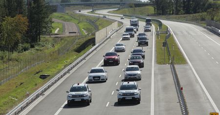 Żółw błotny stanął na drodze do budowy S16. Jest nowy wariant