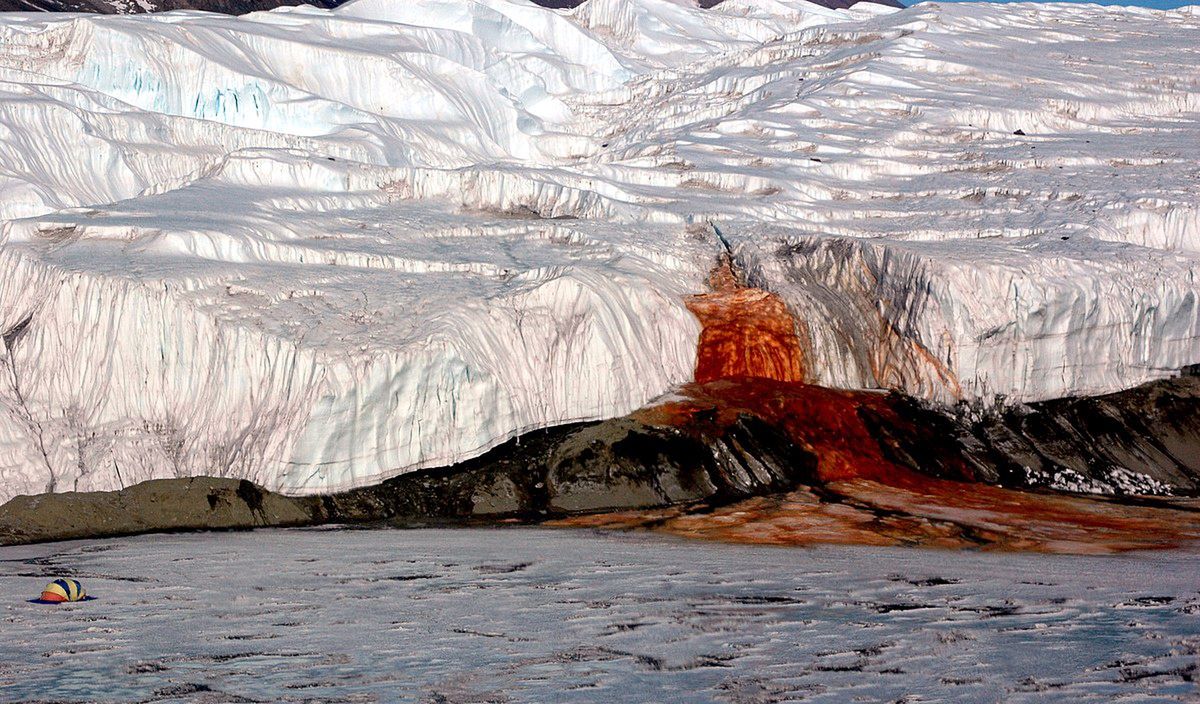 Groază sub gheața Antarcticii.  Oamenii de știință trag un semnal de alarmă – O2