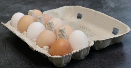 Otworzyli pudełko na jajka. To, co zobaczyli zupełnie ich zaskoczyło