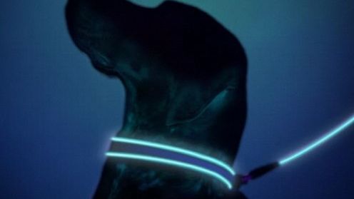 Lunabrite nada ciemności kształt 1