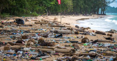 Rajski zakątek tonie w odpadach. "To wpływa na życie mieszkańców i turystykę"