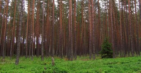 Geoparki przykładem biznesowego wykorzystania walorów regionu