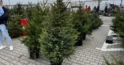 Białystok: Grudniowy weekend na Andersa z kiermaszem świątecznym, giełdą i sprzedażą choinek