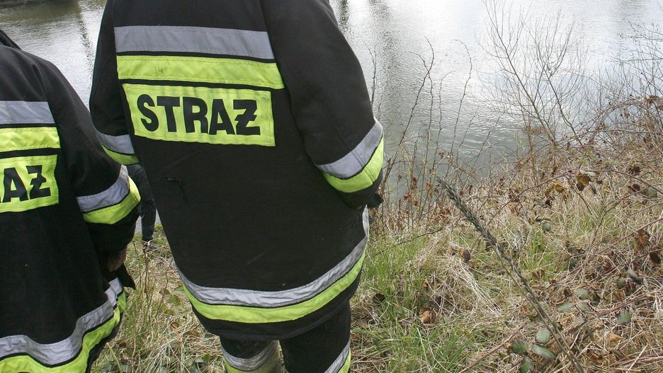 zdjęcie ilustracyjne