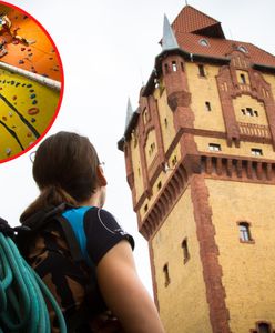 Symbol przeszłości stał się miejscem nowych możliwości. Wieża Ciśnień - fenomenem na skalę światową