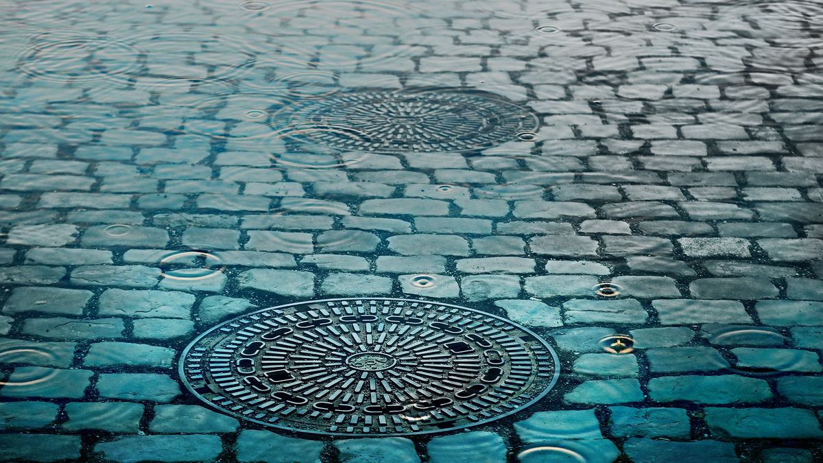 Zwłoki w studzience kanalizacyjnej