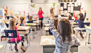 Niemcy pochwalili Polskę. "Mogą uczyć się inne kraje"