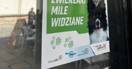 Lublin przyjazny zwierzętom. Przybywa miejsc, które odwiedzisz z pupilem