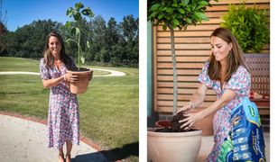 Księżna Kate kolejny raz pokazała się publicznie