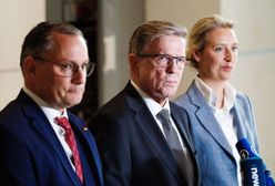 Alternatywa dla Niemiec kontra decyzja BfV. Co dalej z partią?