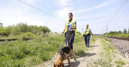 Psy tropiące z Niemiec szukają zabójcy 38-latki z Trawnik. Są w stanie podjąć trop po kilku miesiącach