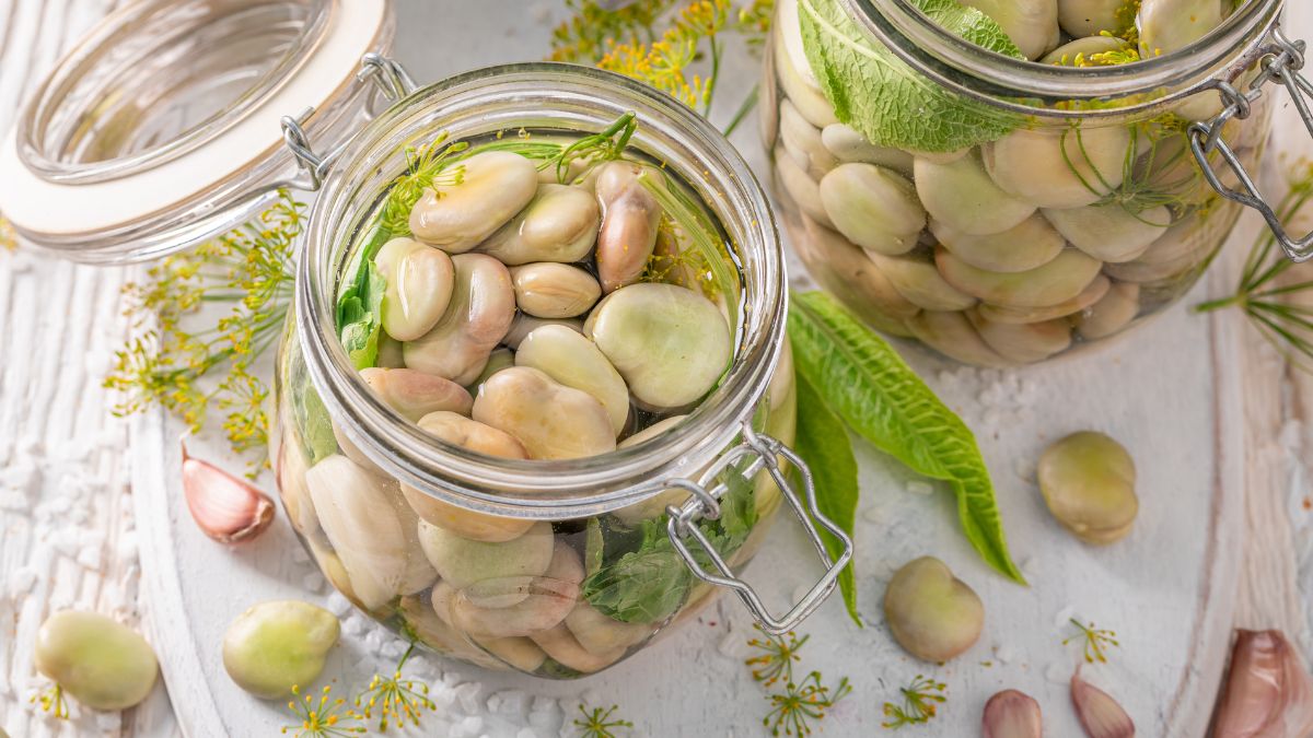Jak przygotować kiszony bób?