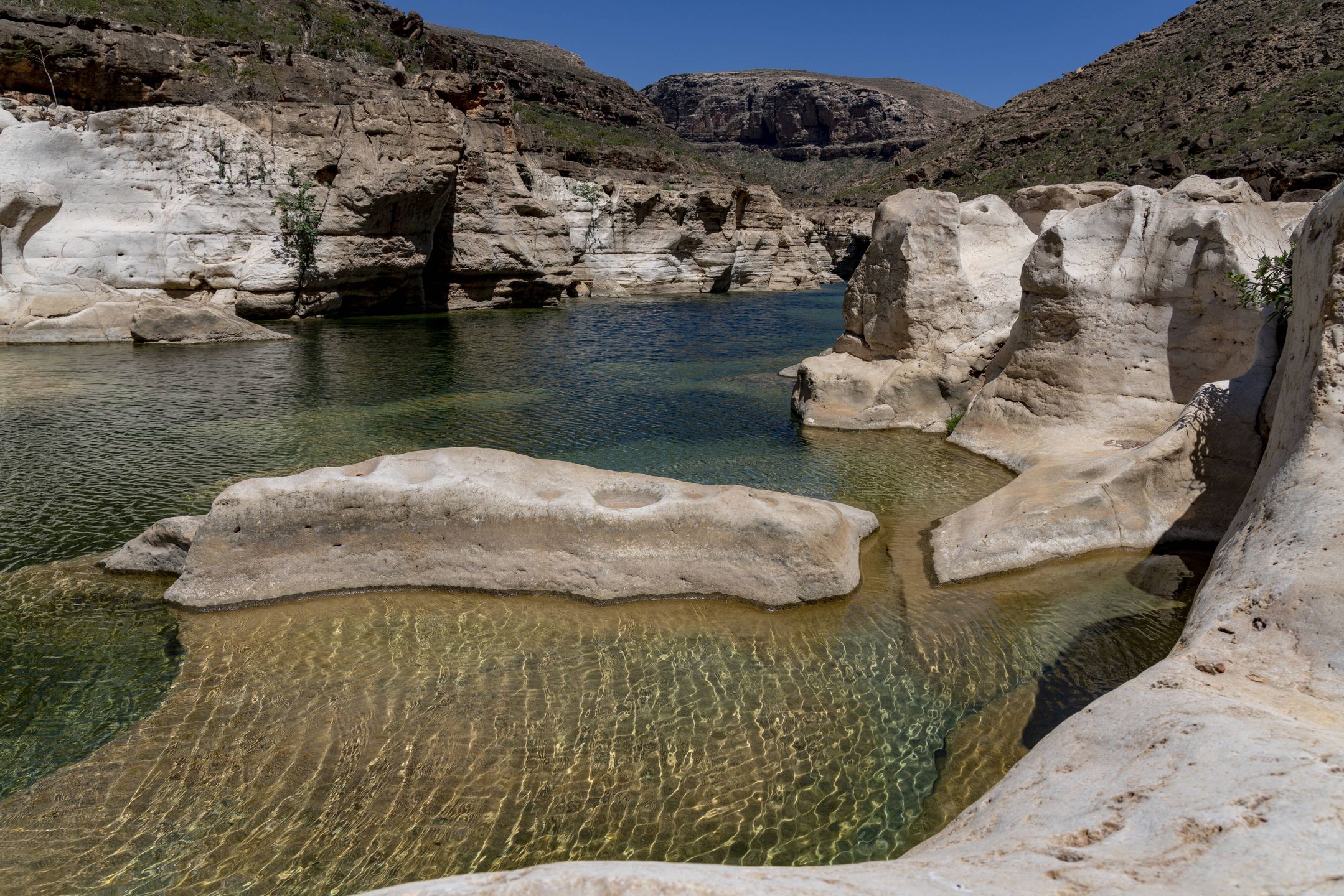 Polacy utknęli n a jemeńskiej wyspie Sokotra