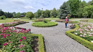Spacer po uzdrowisku w Inowrocławiu. Ogród zapachów przyciąga jak magnes!