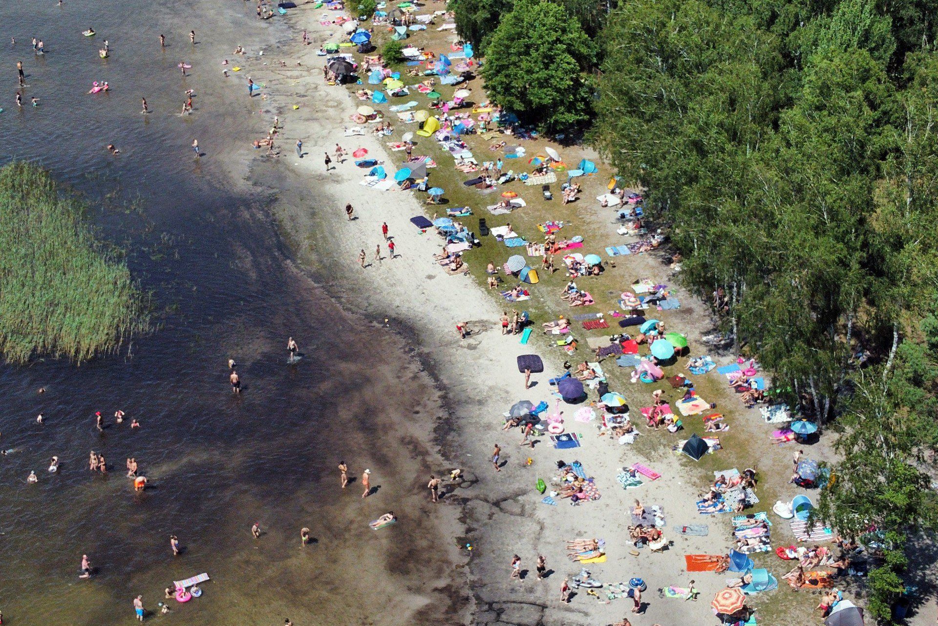 zdjęcie ilustrujące plaże w Piasecznie