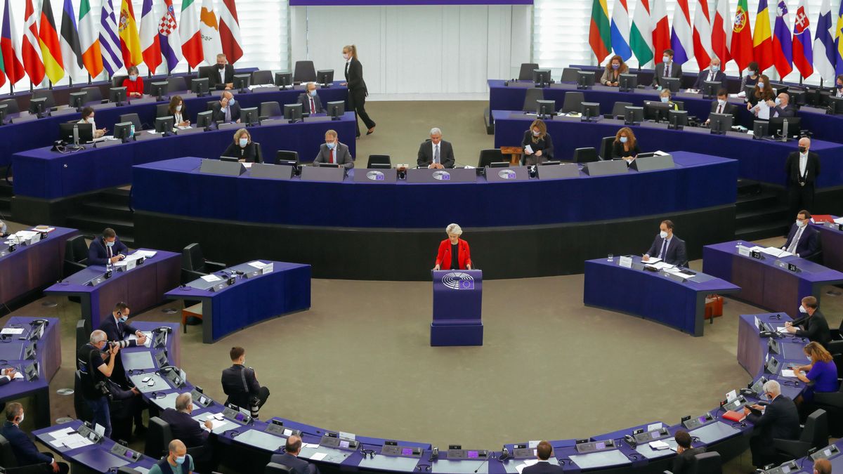 Wybory do Parlamentu Europejskiego. Kim są europarlamentarzyści?