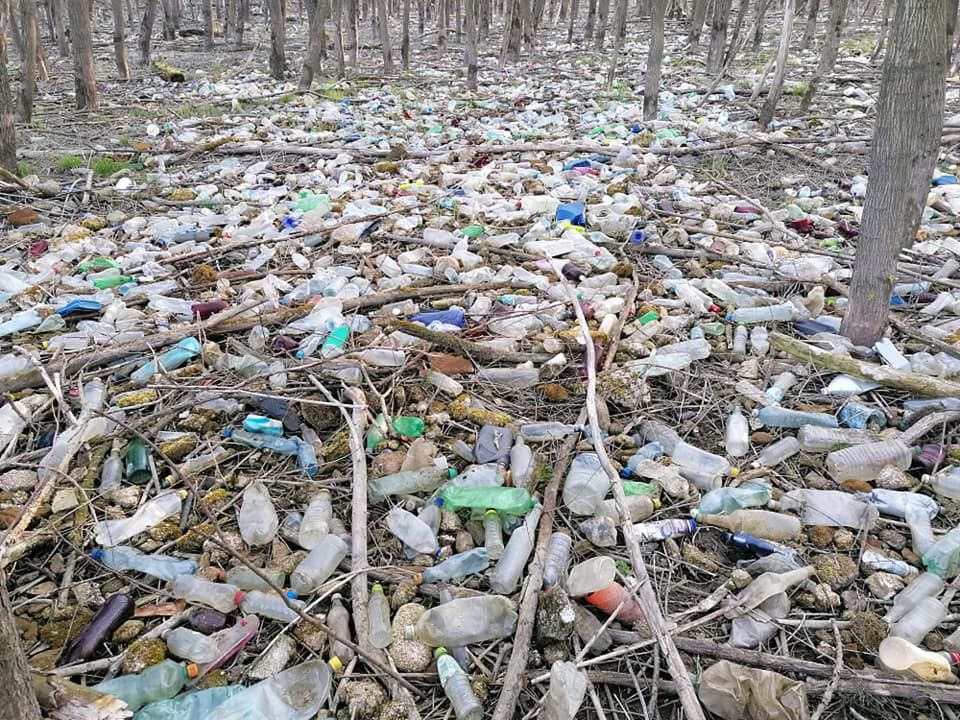 Morze plastiku nad Jeziorem Żywieckim. "Efekt pandemii"