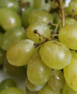 Winogrona – nieocenione źródło witamin i minerałów