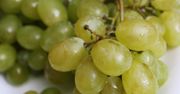 Winogrona – nieocenione źródło witamin i minerałów