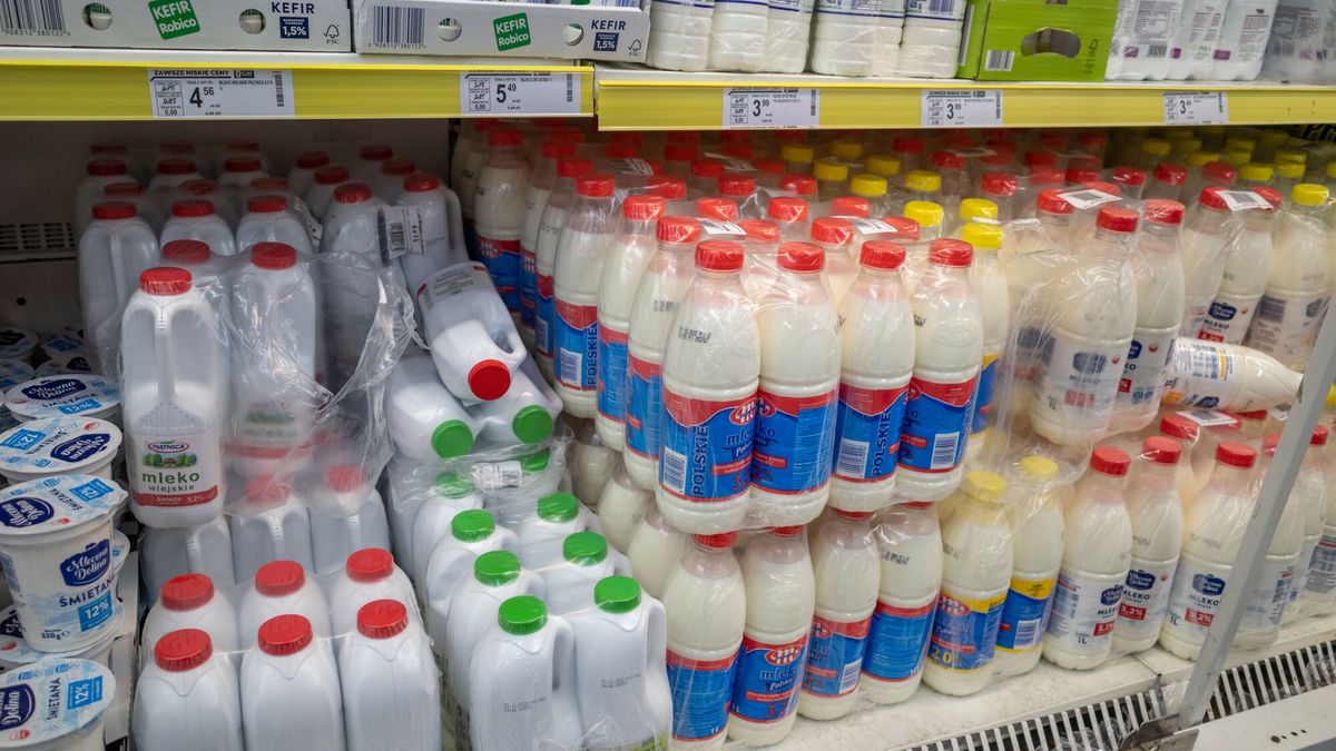 Stock Arkadiusz Zi�?ek
fot: Arkadiusz Ziolek/ East News.
n/z Polka sklepowa z mlekiem.
ARKADIUSZ ZIOLEK