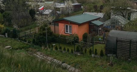 Groźna "moda" na działkach. Przyczepiają kolce do siatek i bramek