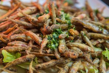 Dziś wielu ich nie docenia. Na Podlasiu to przysmak lepszy niż frytki