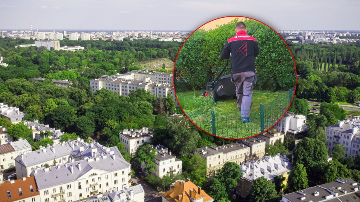 Koszenie trawy na warszawskim Mokotowie.