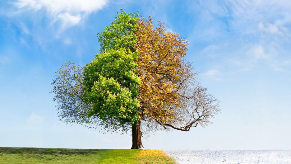 Obalamy mity związane z przyjmowaniem witaminy D