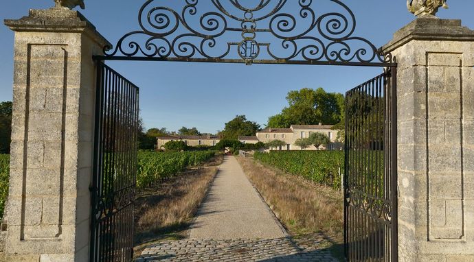 Wino dla nazistów. Cierpki smak kolaboracji