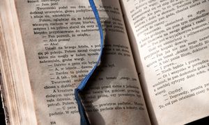 Czy znasz zasady językowe? Rozwiąż test i sprawdź