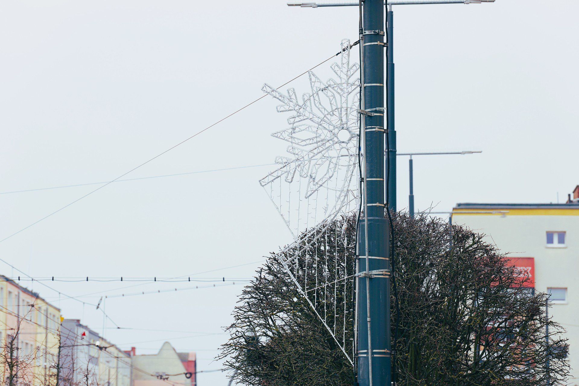 Na gorzowskich ulicach, placach i skwerach już trwa wielkie strojenie.