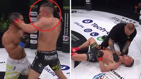 Polak ciężko znokautowany. Klatkę opuścił na noszach